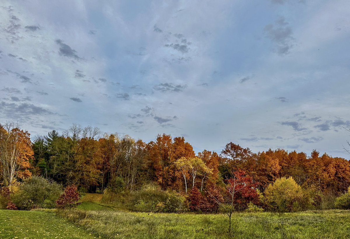 The colors are still so pretty! 🍂
#miwx #wmiwx #fallcolors #PureMichigan #StormHour