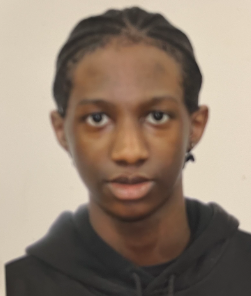 Toronto Police Operations tweet media