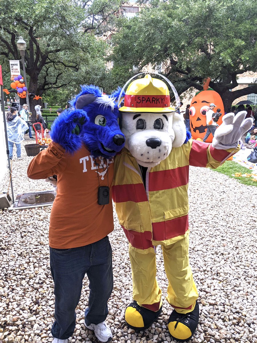 ApolloBlueWolf's tweet photo. Had a great time today at @UTAustin’s Longhorn Halloween event with my friends in @LonghornFurries :3 https://t.co/uO02VznVjr