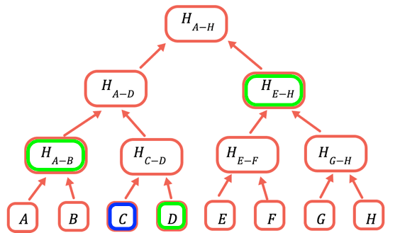 KontractKoder's tweet image. studying Merkle proofs #ethereum #blockchain #solidity #web3