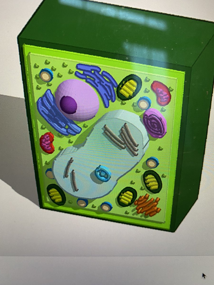 Grade 8EF students created models of animal and plant cells using Tinkercad. #STEM <a href="/stthomasmore19/">St Thomas More DPCDSB</a> <a href="/Connie2Educ8/">Connie Shepherd</a>