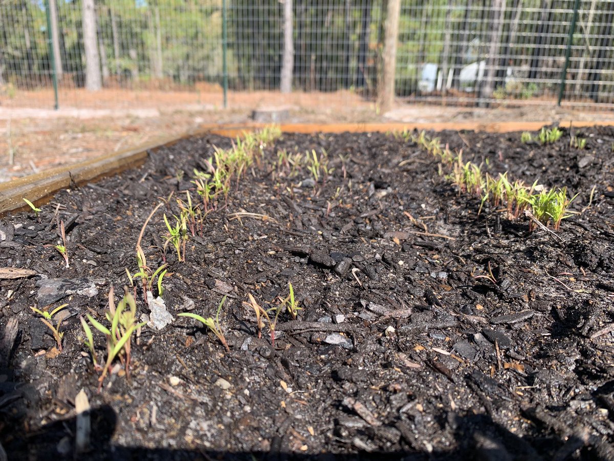 Kiwanis Club of Topsail Island Area tweet media