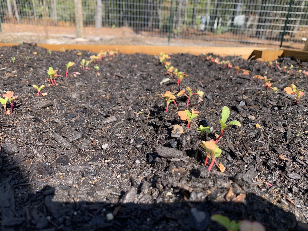 Kiwanis Club of Topsail Island Area tweet media