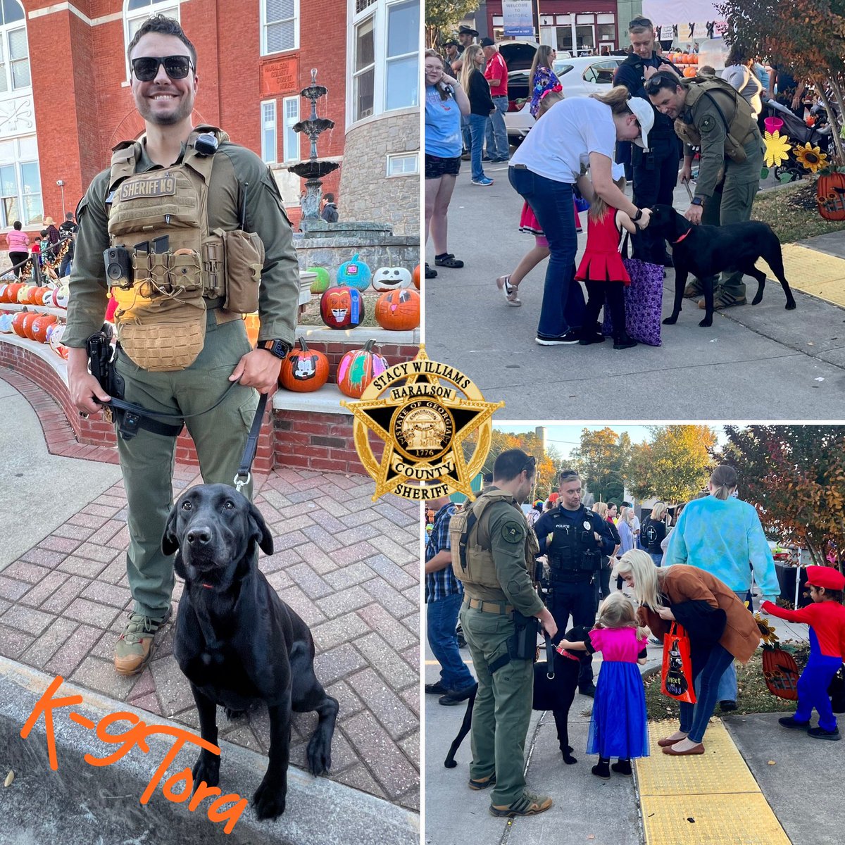 HCSO_K9Tora's tweet photo. Last week, K-9 Tora and Sgt. Kirkland made an appearance at the Great Pumpkin Caper 2023 at the square in Buchanan. K-9 Tora enjoyed the loves, the attention and the hotdogs. 😂
#K9Tora🐾💙
#K9Unit #Community #SheLovesHotdogs #SoPopular #KidsAndK9s #GreatPumpkinCaper2023 #HCSO https://t.co/WcyNPd0xoy