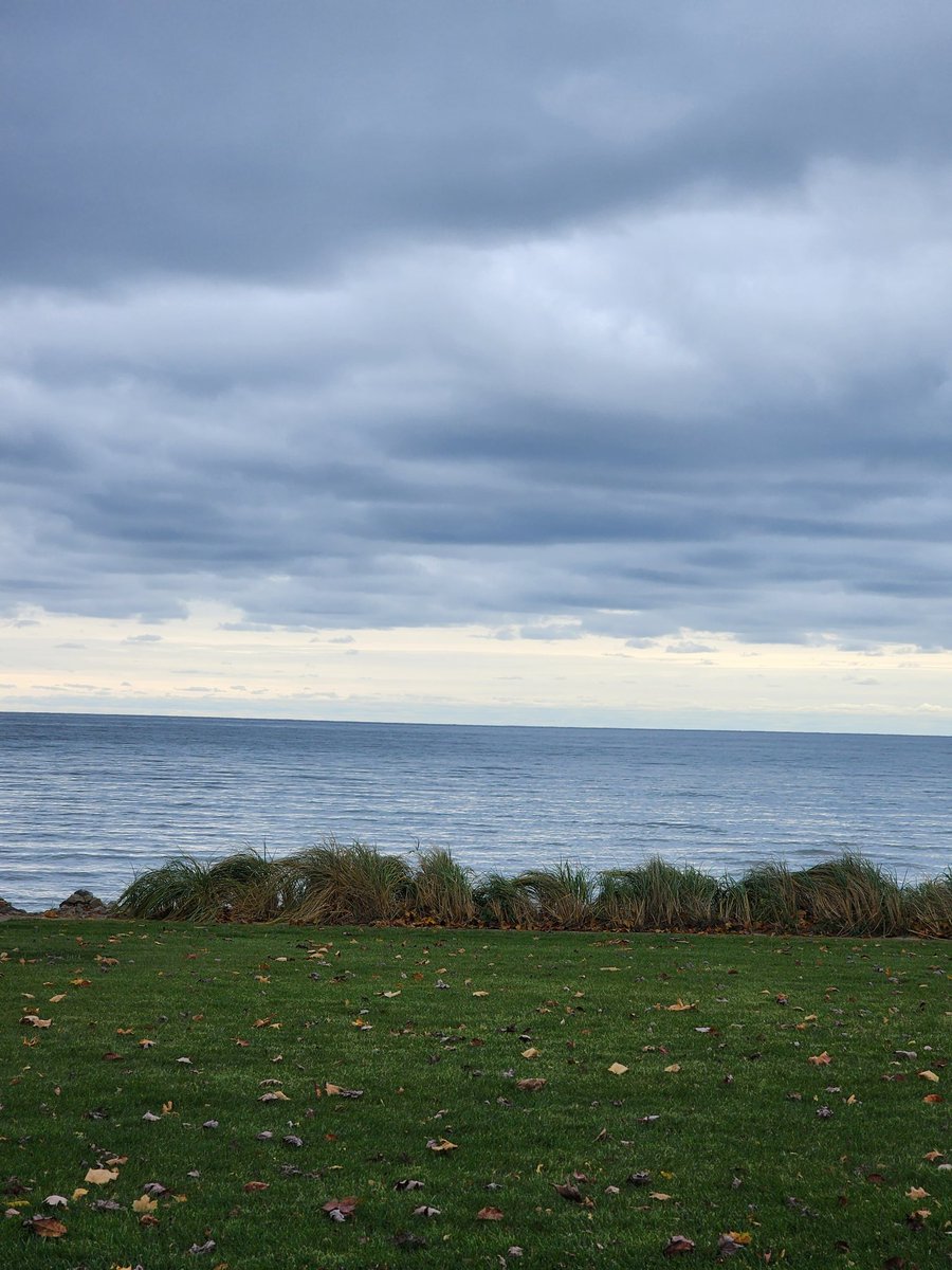 SMRA isn't just farmland. We have some amazing lakes too! Loving all the travel I'm able to do for #LEAD2023 ! So many great teams I've met so far! #LakeHuron #NorthernMichigan  <a href="/WBarefield9/">Winnie</a> <a href="/RickyVasquezMI/">Ricky Vasquez</a> <a href="/pedrobyers1/">Pedro Byers</a>