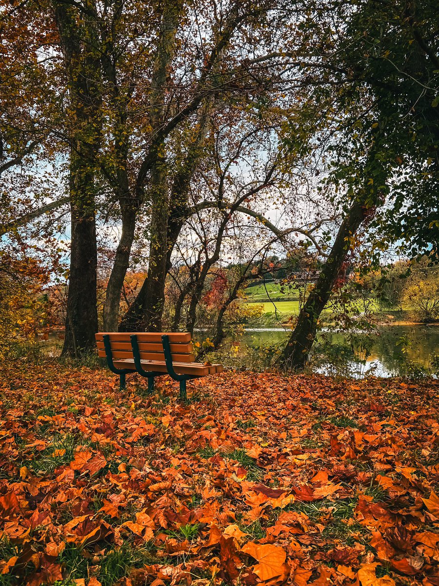 The fall at Shenandoah River! 🇺🇸
Follow me on instagram for more pictures like this one:) <a href="/patagoniawelsh/">Patagonia Welsh by Lucia</a>