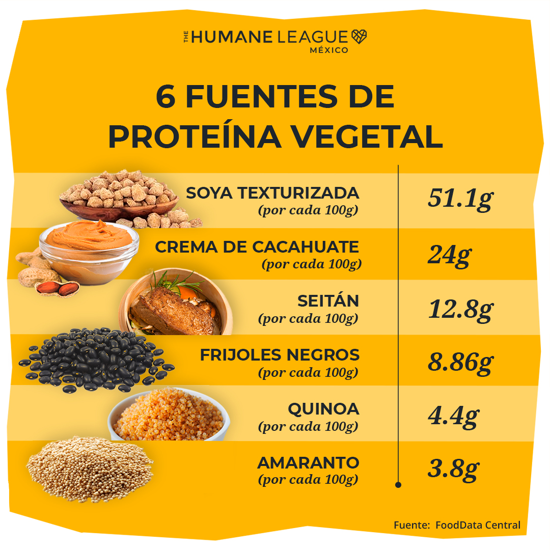 Muchas personas creen que la única fuente de proteínas proviene de productos animales. Pero aquí tienes un dato revelador: ¡los alimentos vegetales están LLENOS de proteína! 🌱 Reconsidera tu consumo de carne y descubre la riqueza de las proteínas vegetales. 🤗🫘