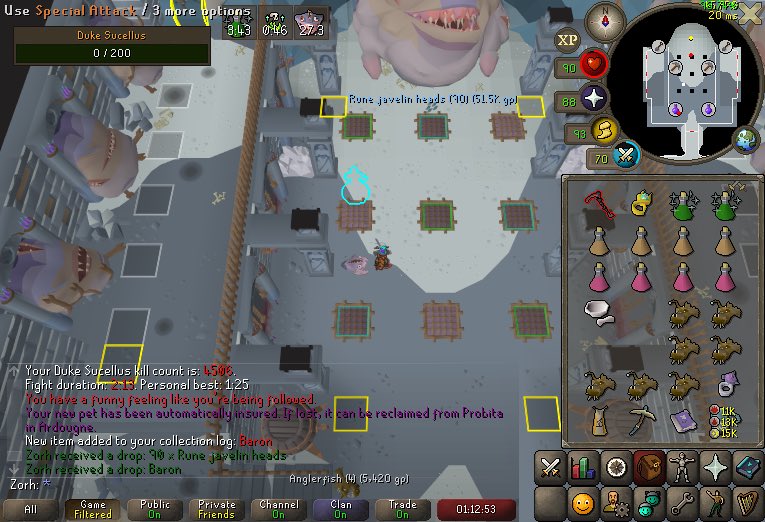 ZorhOSRS's tweet photo. Forgot to post the 28th pet Baron coming in as another unpopular kc #osrs #pet https://t.co/PiZasX1OoO