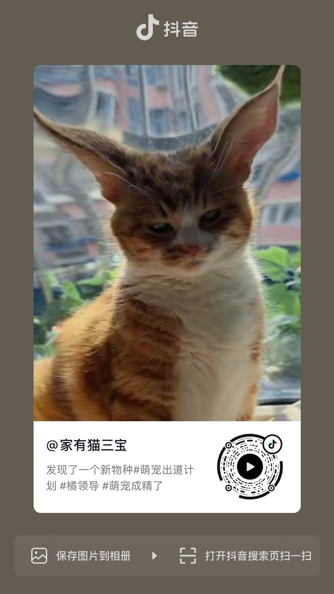 老太太终究还是走了