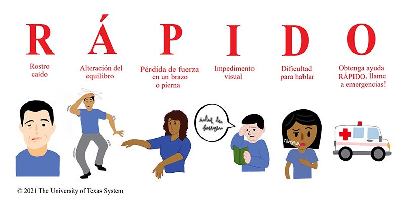 RÁPIDO is a new Spanish acronym to raise stroke awareness! 

Studies show Hispanic adults are not as aware of the symptoms of stroke. 

We know patients who receive care in a more culturally sensitive setting have better outcomes after a stroke. 

#WorldStrokeDay