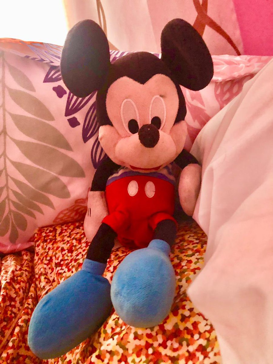 @NuevoPudahuel hola, mi hija dejó su amigo en un carro de equipaje en la T2, hoy a las 12:00 horas aprox. es muy importante para ella, si alguien lo vio, favor contactar o dejar en aeropuerto… <a href="/lun/">Las Últimas Noticias</a> <a href="/LATAMAirlines/">LATAM Airlines</a> @
