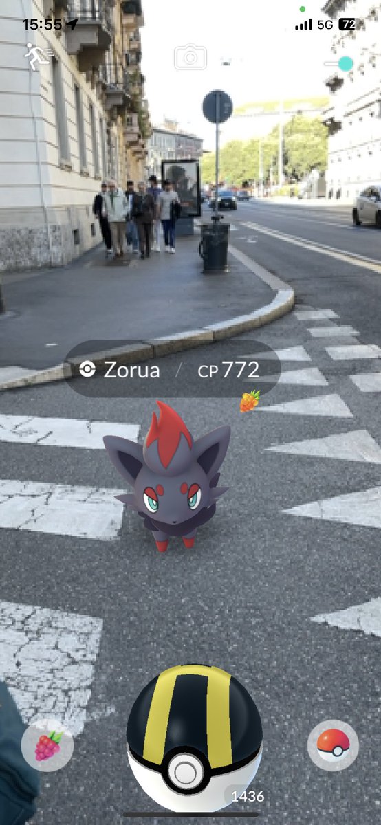 N0TDISCLOSED's tweet image. Small loot from first 3 days of event🥳

Hopefully weather will be gentle tomorrow 🥺

#PokemonGo 
#Teamrockettakeover 
#Guzzerie