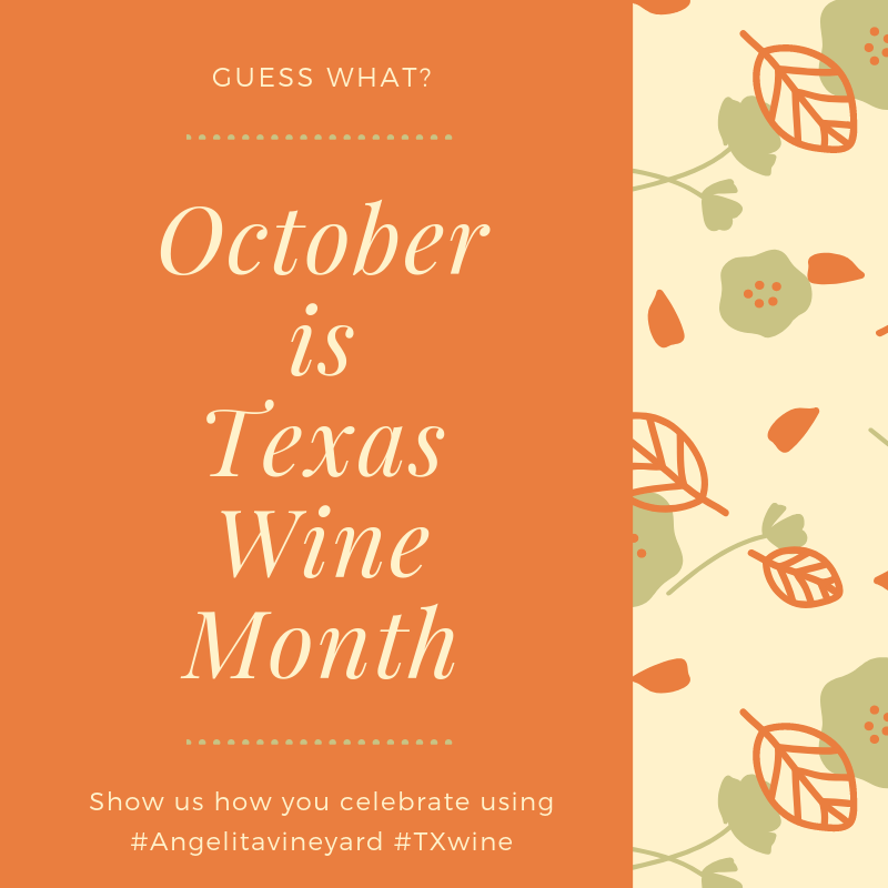 We are celebrating Texas Wine Month! Post a photograph or tell us how you celebrate with some of your favorite Angelita Vineyard & Winery wines using #Angelitavineyard or #TXwine. We are open this weekend Thursday through Sunday from Noon to 6pm. #Siprelaxenjoy