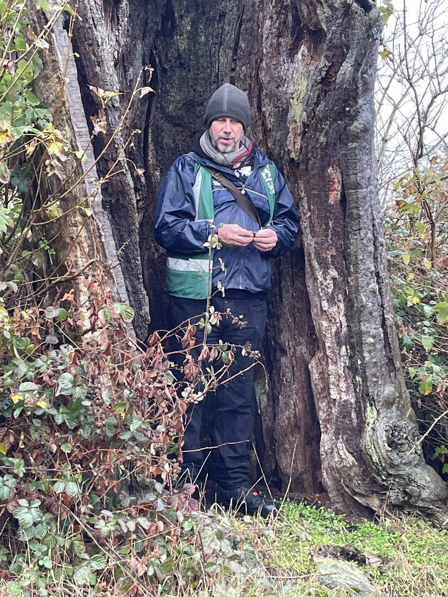A well attended 
,if somewhat damp, ATF Essex visit to Danbury Country Park. Some fantastic veteran trees and wide ranging discussion. A big thank you to everyone involved in the organisation of this event. <a href="/AncientTreesATF/">Ancient Tree Forum</a> 
#Ancient #Veteran #Trees #Essex