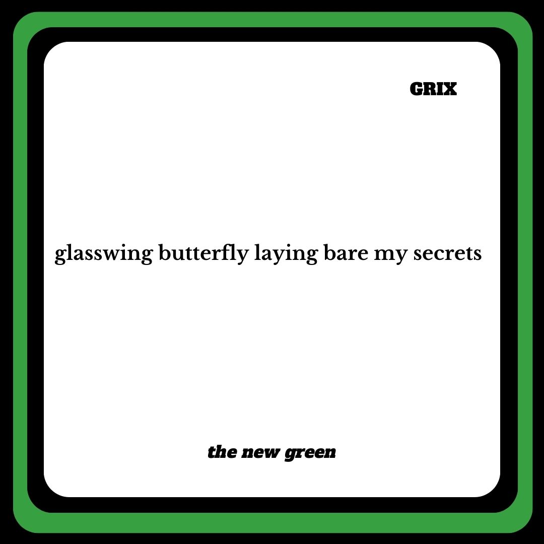 Here's a #butterfly #haiku from @komadorihaiku from their #poetrybook, the new green.

#Read it and more #poems here:
publ.cc/IMaLxY

#glasswing #secrets #poetryisnotdead #poetryislife #naturepoem #naturepoetry