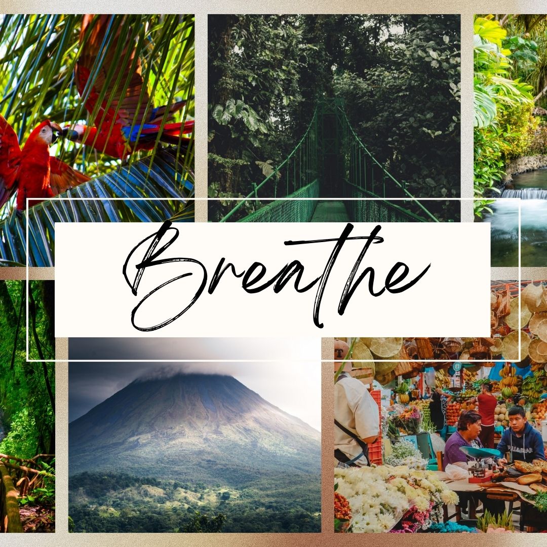 Our life begins and ends with breath 🌬️ When we take a deep breath, we receive the breath of life and allow Costa Rica's fusion of elements to infuse our being 💆‍♀️

Join us on our curated 7-day Beauty Journey, "Breathe," in vibrant, eco-friendly, and open-minded Costa Rica 🌴