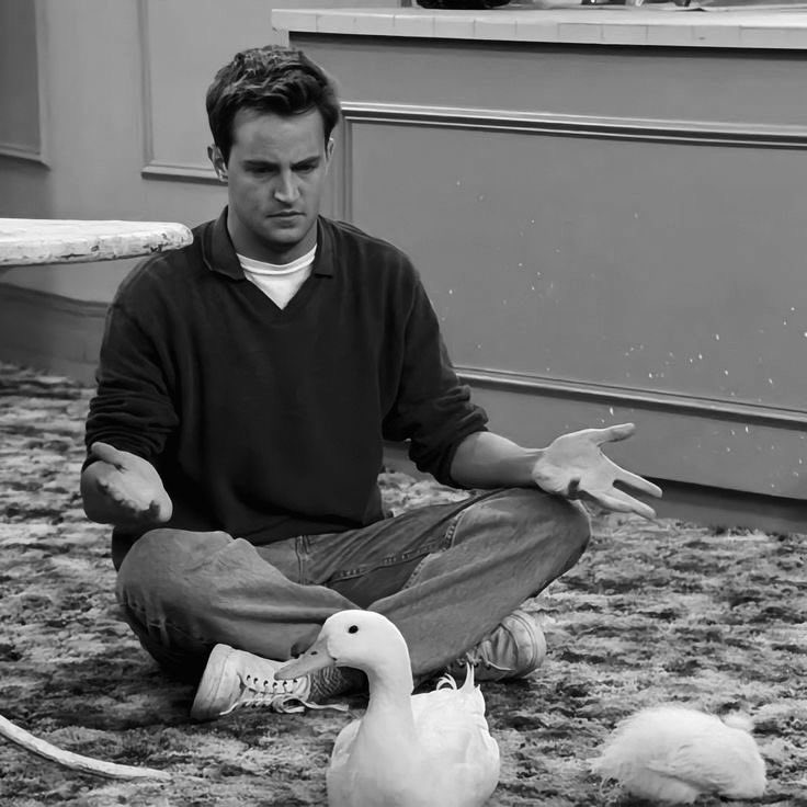 madsoprp's tweet photo. Eu nem consigo explicar como a morte do Mathew Perry me está a afetar…Sempre que me lembro da me uma vontade brutal de chorar💔
Sinto que pela primeira vez na vida vou ver friends e ficar triste💔 https://t.co/ZewbWU5pRA