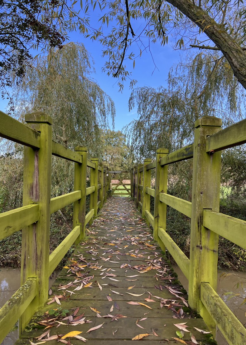 phil_d13's tweet photo. Sunday ramble diaries. A fun day of serious slippinโ (no G) ๐๐ฅพ๐ธ๐๐ #SlipperySunday #hikegetwetclub https://t.co/HzYBlU64jd