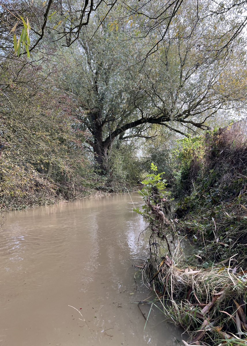 phil_d13's tweet photo. Sunday ramble diaries. A fun day of serious slippinโ (no G) ๐๐ฅพ๐ธ๐๐ #SlipperySunday #hikegetwetclub https://t.co/HzYBlU64jd