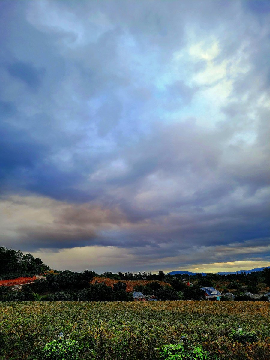 MariolaEstrada's tweet photo. Otoño así en la tierra como en el cielo
#Canedo #Bierzo #ElBierzo @PRADAATOPE https://t.co/AVbc2564Je