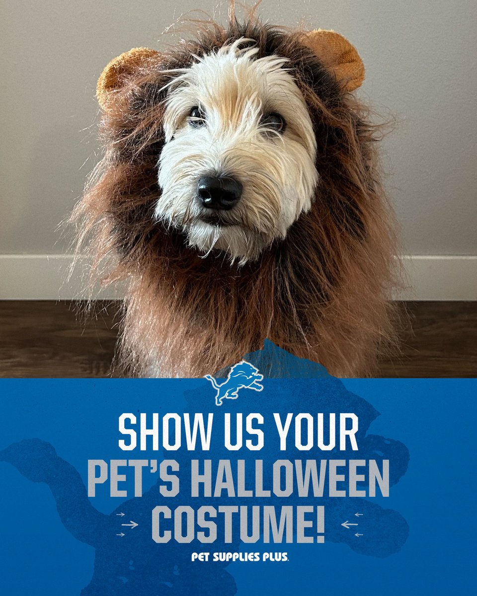 Detroit Lions tweet media