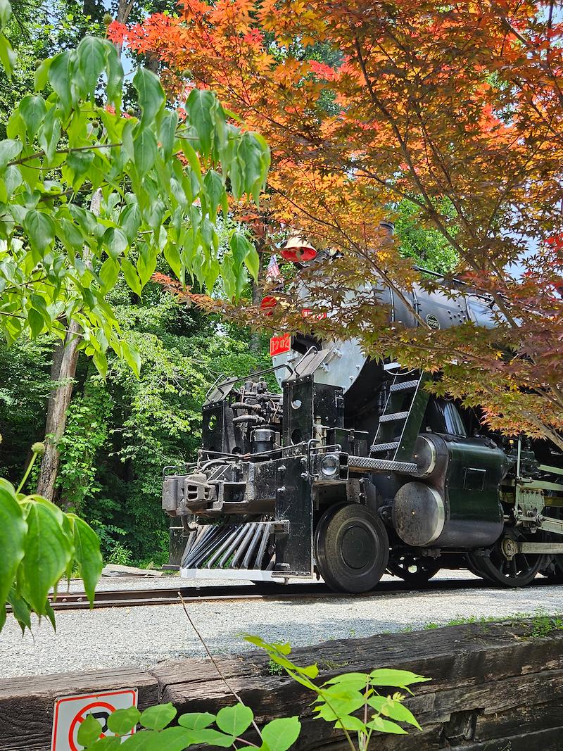 ashiejo07's tweet photo. My friend, Alice, is a finalist in Great Smoky Mountains Railroad’s Story Contest. Help me rally votes: https://t.co/74ta3ZkKuA https://t.co/ZRl0pdlaws