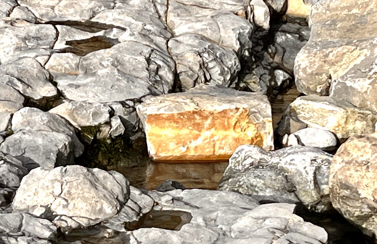 Rock cake today at Southerndown