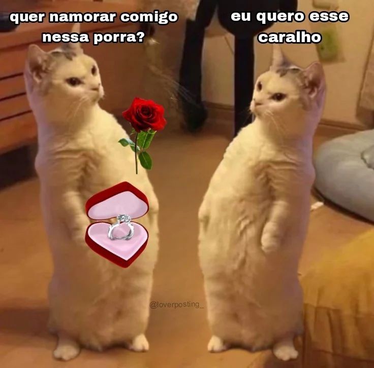 memeparaoarroba's tweet photo. https://t.co/hr8MT9083K