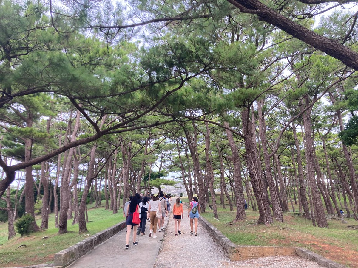 csbailey128's tweet photo. Incredibly thankful for the evolution and morphology workshop hosted by @OISTedu and for getting to spend a week in Japan with some of the coolest people :) https://t.co/DdxSRzSIsm
