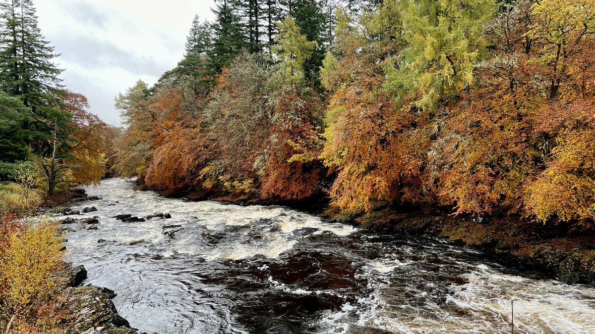 skhsusieq's tweet photo. After a civilised departure time of 7.30am for the days hike the weather was a little less civilised but some lovely autumnal scenes especially on the drive back made up for it!
#meallghaordaidh #munro #munrobagger #munrobagging #scotland #autumn #autumnleaves #hike #hiking https://t.co/MqQQKdRa4P