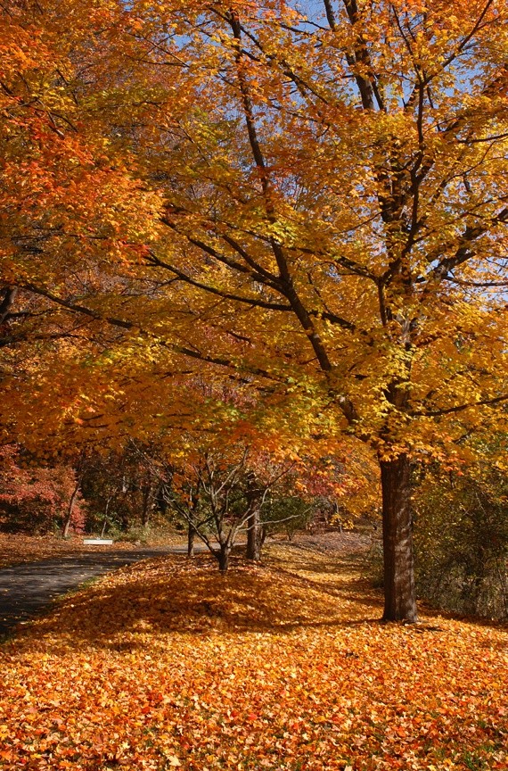 ANGELES ๐โ๏ธ๐ท (@angelesbermejo1) on Twitter photo <a href="/AbeEldesiempre/">Abe Eldesiempre</a> <a href="/natureheals23/">Rainbow Photopedia โ ๐</a> Buenas tardes Abe. Que sigas disfrutando del domingo ๐๐ <a href="/AbeEldesiempre/">Abe Eldesiempre</a> <a href="/natureheals23/">Rainbow Photopedia โ ๐</a> Buenas tardes Abe. Que sigas disfrutando del domingo ๐๐