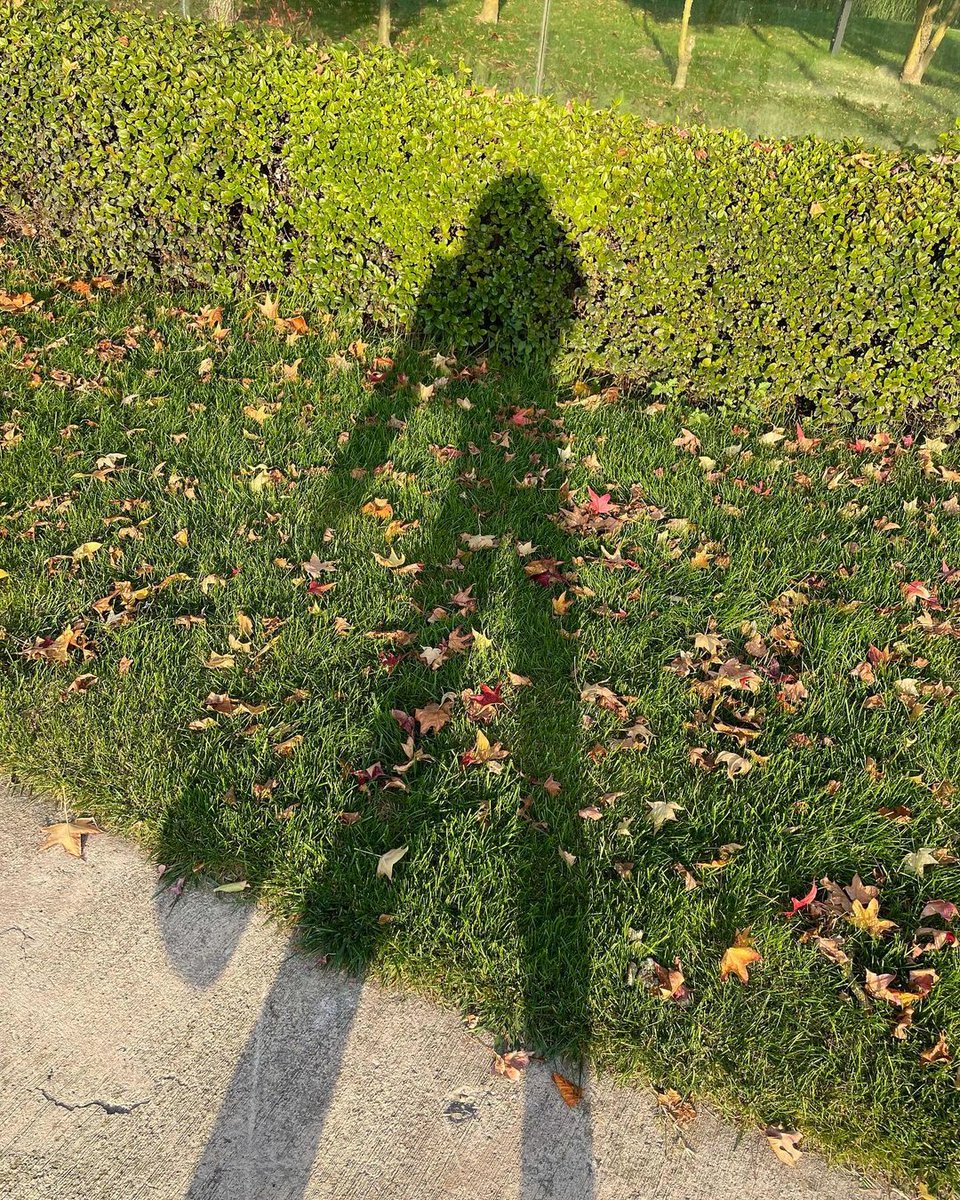 amber__robert's tweet photo. "You are never fighting alone, there is always someone following you and accompanying you." Shadow is also a good partner sometimes. https://t.co/Im7ipHFPdR