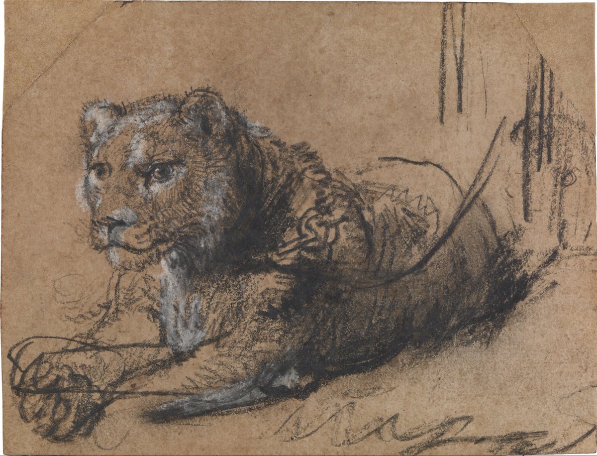 Some animal drawings by Rembrandt: Clocwise from top left: Louvre, Paris; Leiden collection, NY; Leiden Collection, NY (again); British Museum, London
