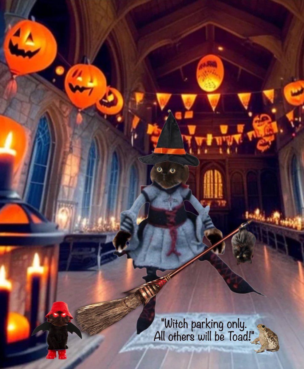 I guess I’m okay to park my broomstick here then?! Come on - let’s grab a drink and get this pawty started! 😹🎃👻#Mogwarts #MWHalloween #HalloweenCatParade23 #Halloween2023