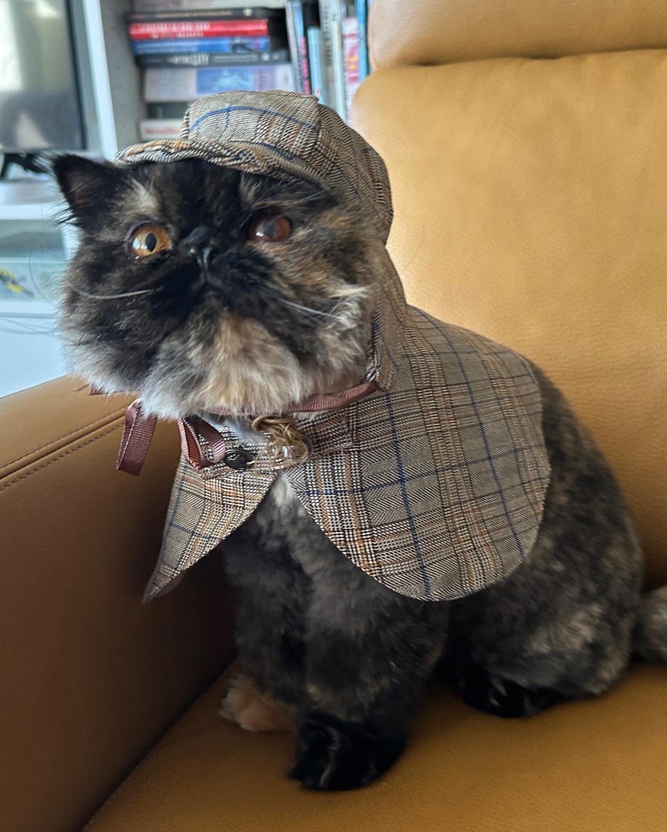 Jen Chung tweet media