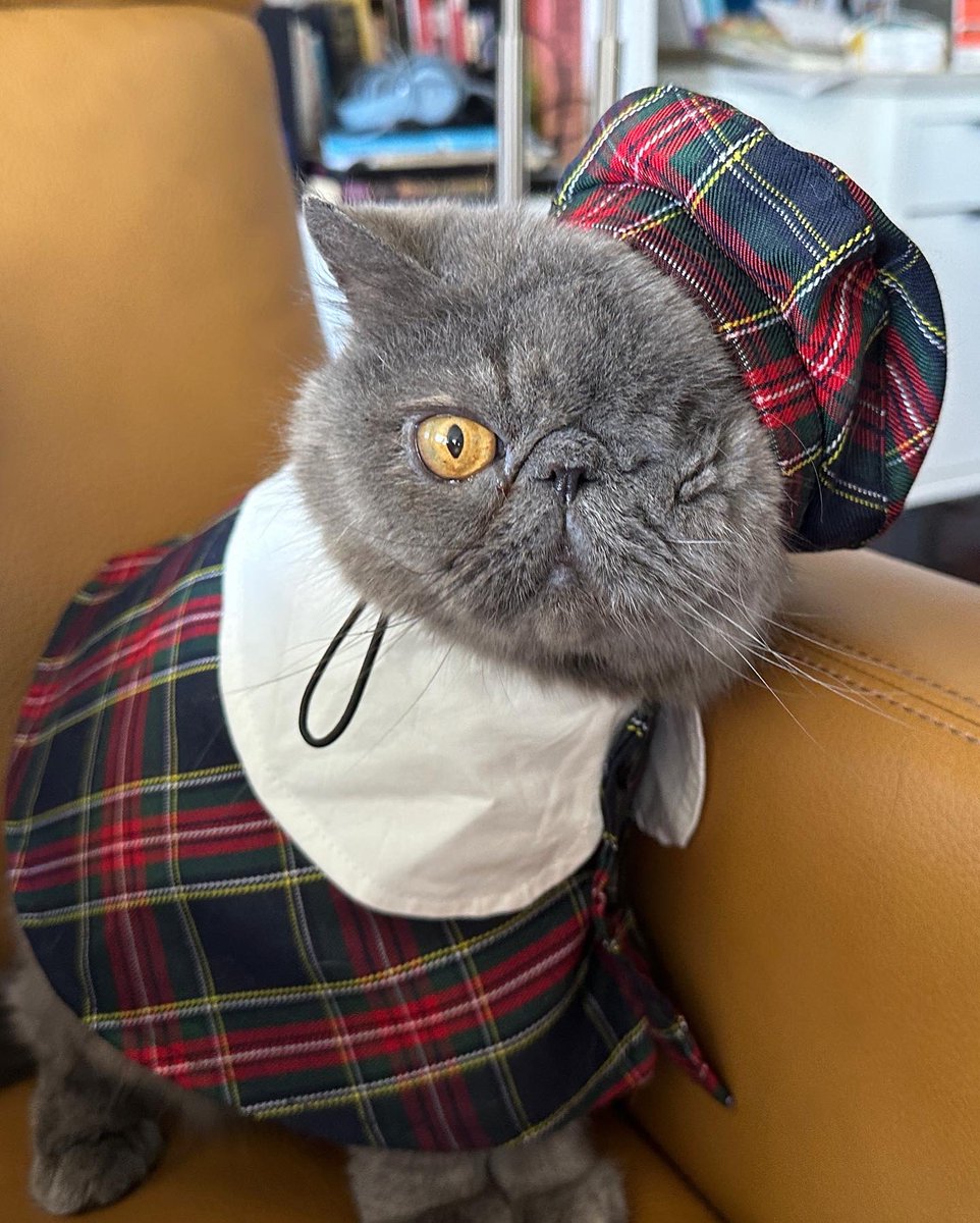 Jen Chung tweet media