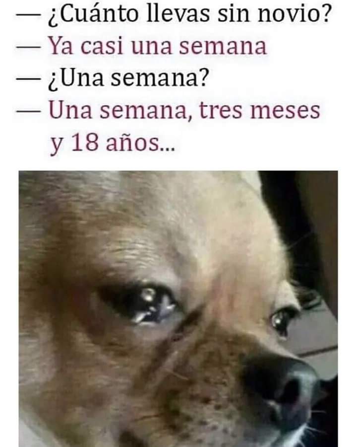 ¡Hola!
#FelizDomingo 😆