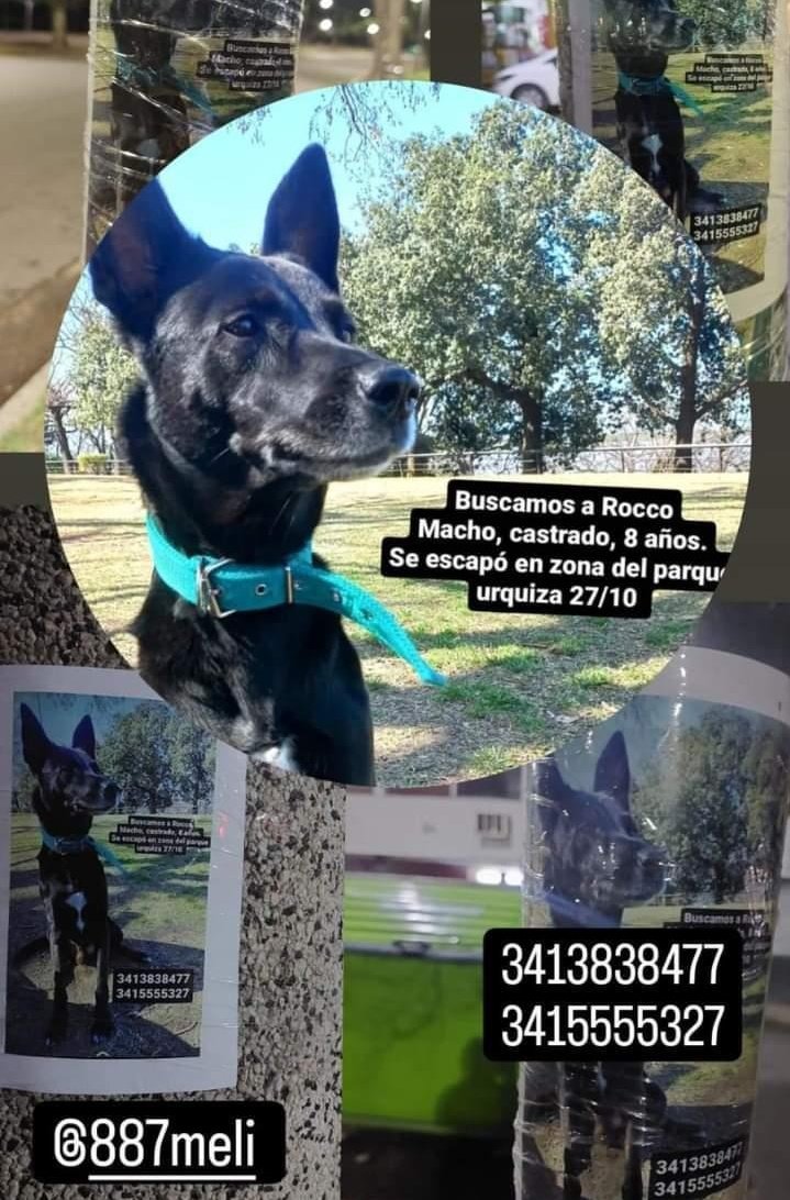 RosarioLaCiudad tweet media