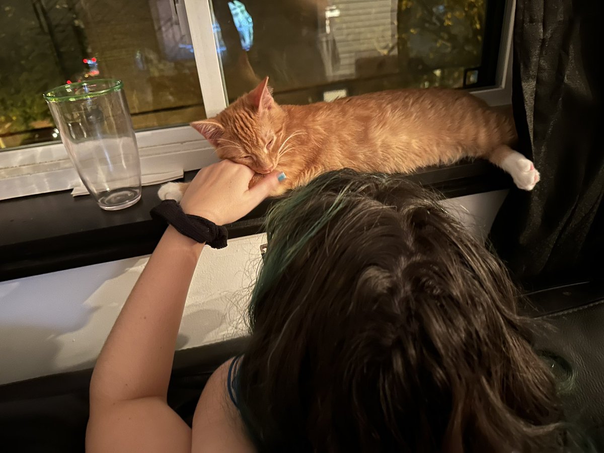 UhhhhItsAlex's tweet photo. New cat drop https://t.co/u3ceEfjuBc