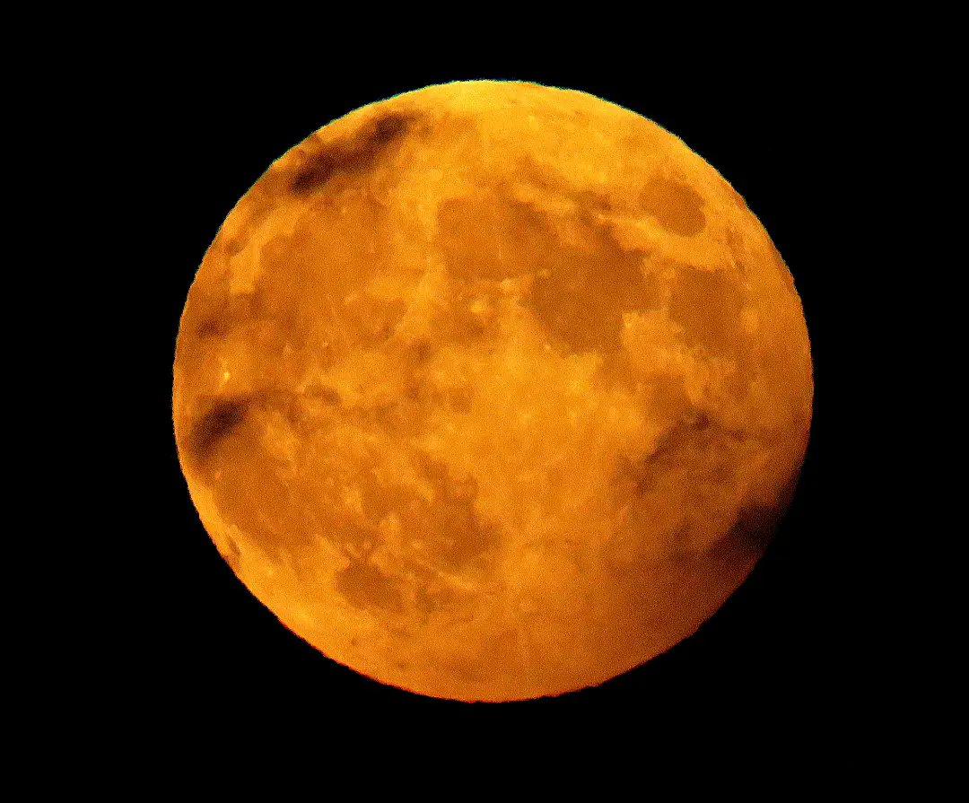 Canadian_Psych0's tweet photo. Full moon. October 2023. #fullmoon #moon #autumnfullmoon #October2023 #octoberfullmoon #zoom #photography #nature https://t.co/kcTYADl1G2