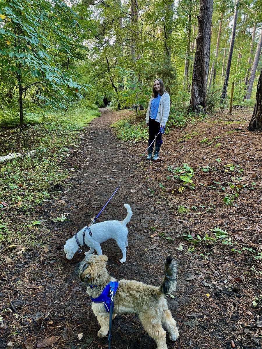 lovebeingagran's tweet photo. Challenge day 28 (part 2) Nearly there! ⁦@PancreaticCanUK⁩ https://t.co/OuFbHerAmu