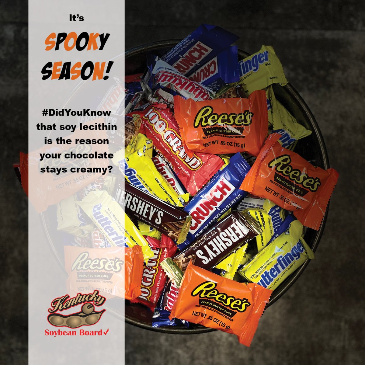 #DidYouKnow that soy lecithin is an emulsifier found in most chocolates? It keeps the butter and cocoa powder blended for that smooth, creamy texture!
#SpookySeason