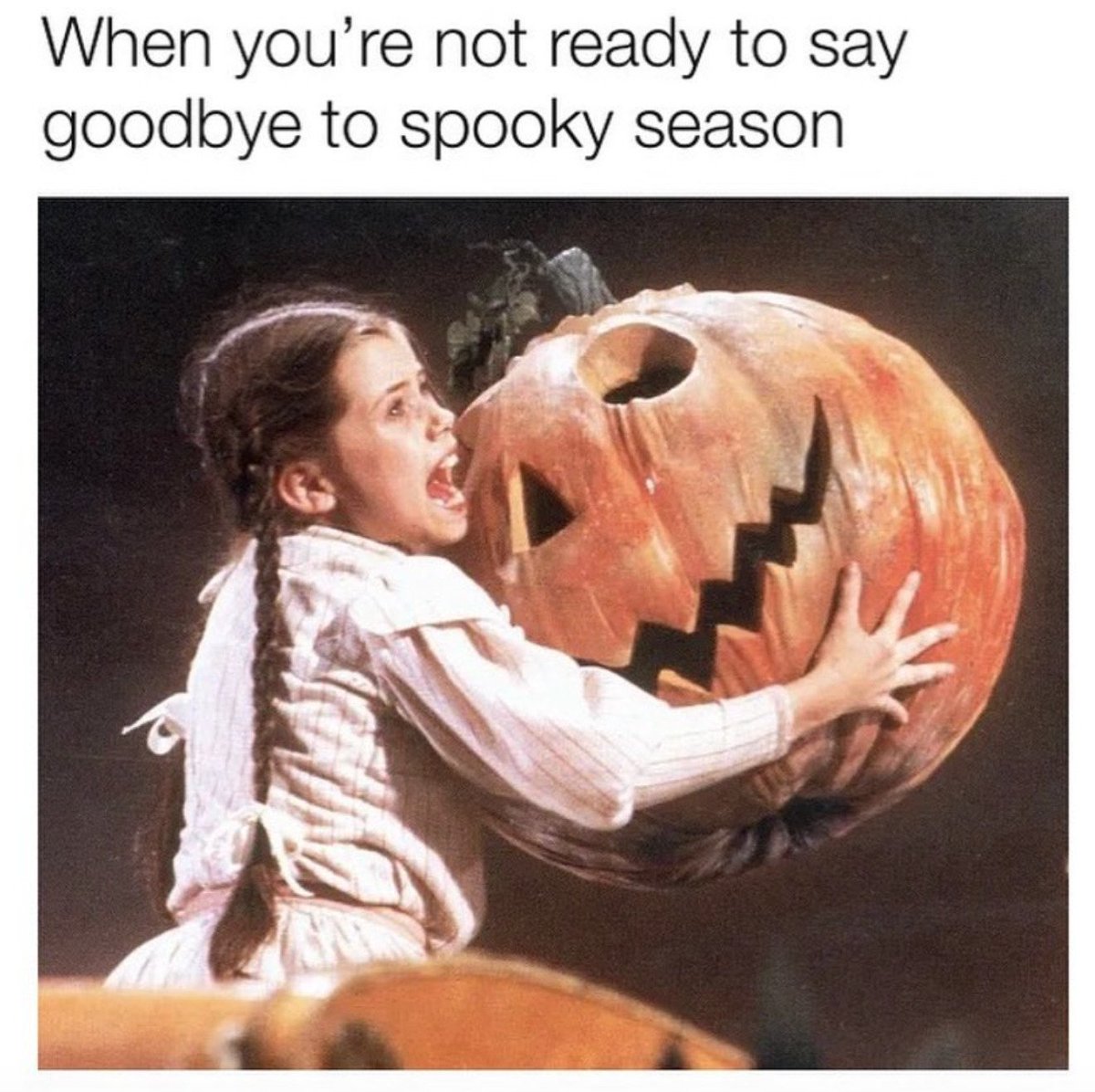 WholesomeMemes (@wholesomememe) on Twitter photo 