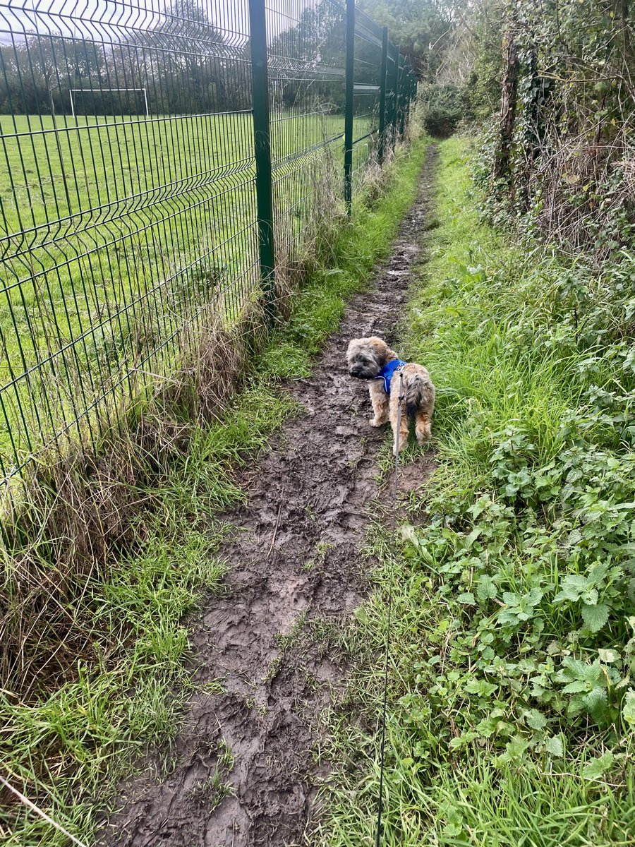 lovebeingagran's tweet photo. Challenge Day 29 - muddy Autumn walk for ⁦@PancreaticCanUK⁩ https://t.co/fRzy37IeIv