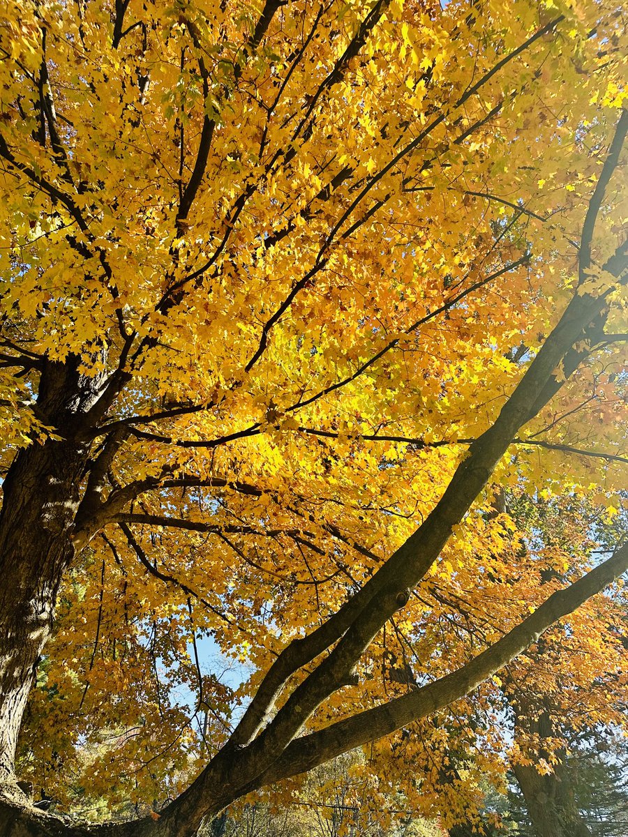 Katharine Strunk tweet media