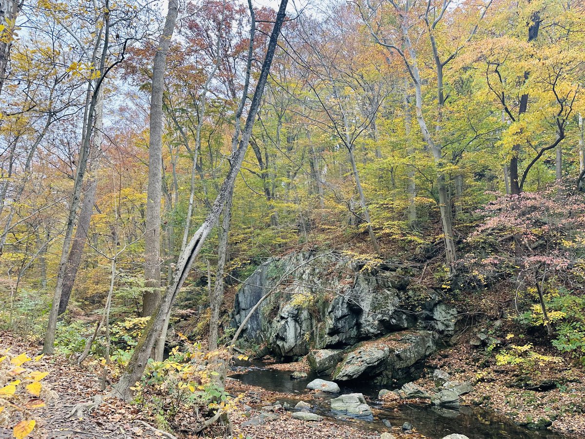 Katharine Strunk tweet media