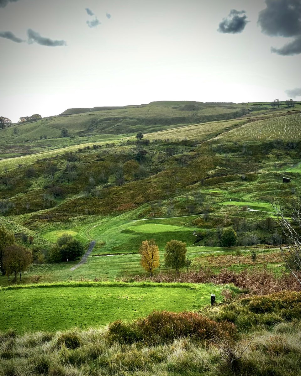 Kevin Paver tweet media