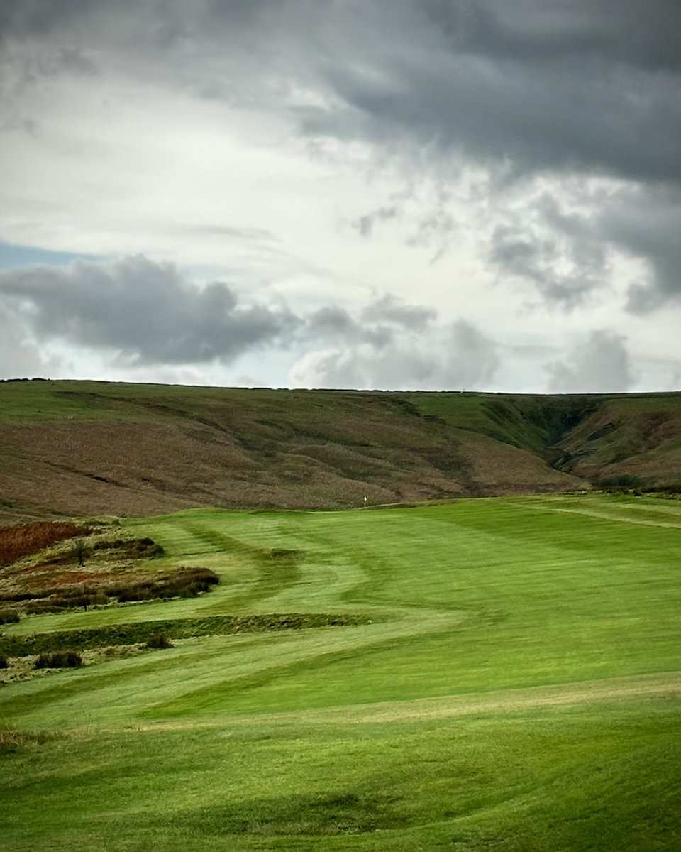 Kevin Paver tweet media