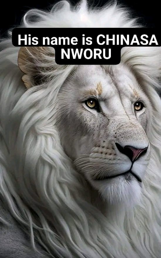 EChibuihe's tweet photo. Every INEC officials in Imo will pay dearly if they go on to rig-in Imo-vampire Uzodinma, we know them all 

- Mazi @ChinasaNworu  on Radio Biafra 29/10/23 https://t.co/5jCdJAZyGz