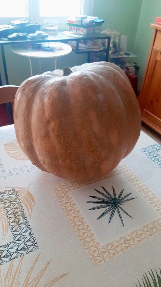 on a trouvé une belle citrouille pour halloween à la fete de la courge à aigueze (30)